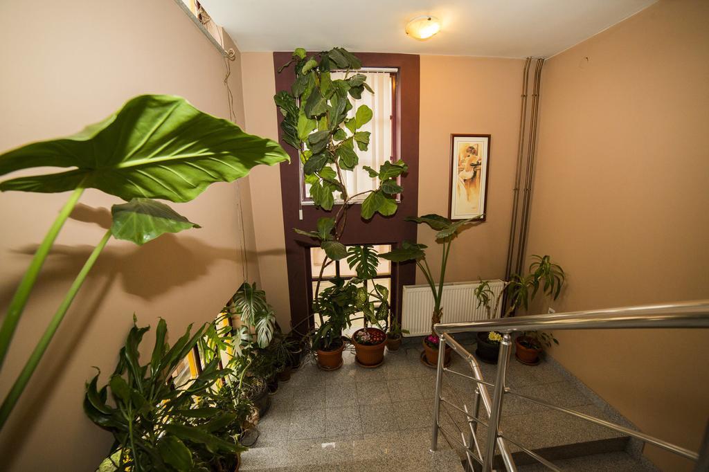 B&B Vila Tamaris Заечар Экстерьер фото